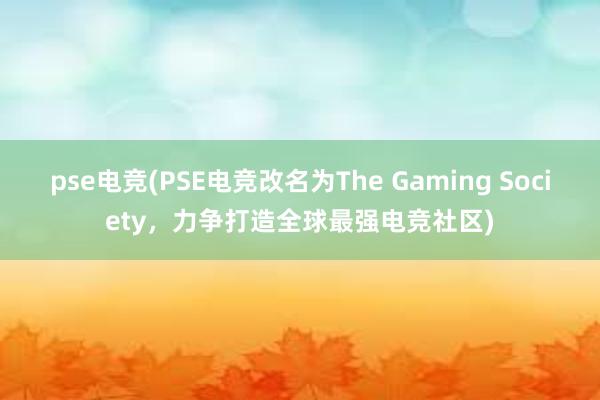 pse电竞(PSE电竞改名为The Gaming Society，力争打造全球最强电竞社区)