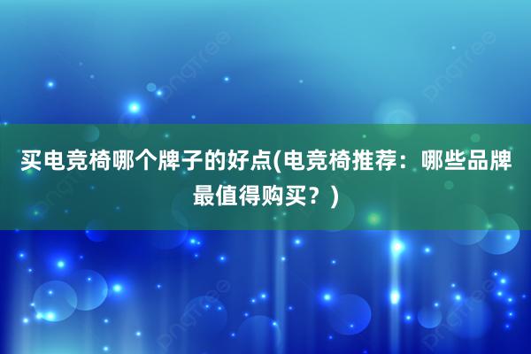 买电竞椅哪个牌子的好点(电竞椅推荐：哪些品牌最值得购买？)