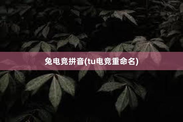 兔电竞拼音(tu电竞重命名)