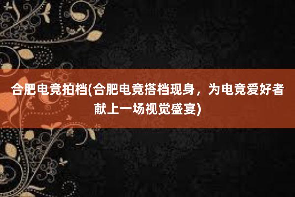 合肥电竞拍档(合肥电竞搭档现身，为电竞爱好者献上一场视觉盛宴)