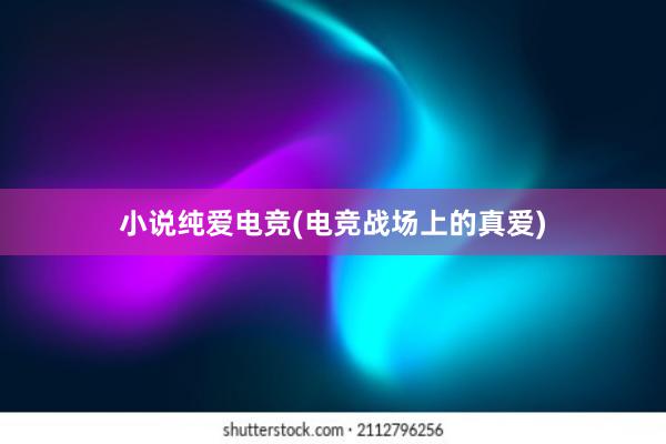 小说纯爱电竞(电竞战场上的真爱)