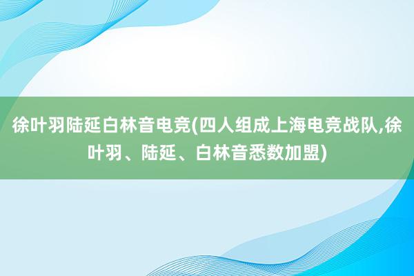 徐叶羽陆延白林音电竞(四人组成上海电竞战队，徐叶羽、陆延、白林音悉数加盟)