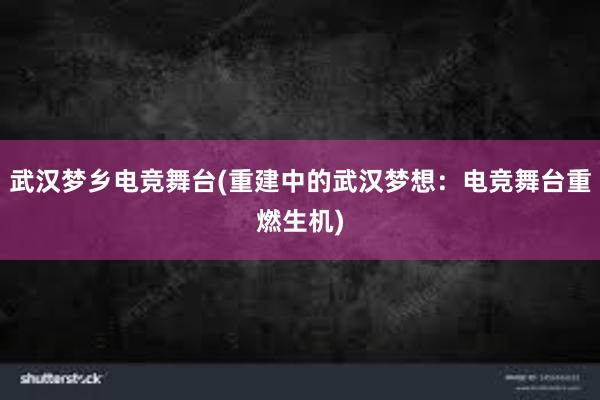 武汉梦乡电竞舞台(重建中的武汉梦想：电竞舞台重燃生机)