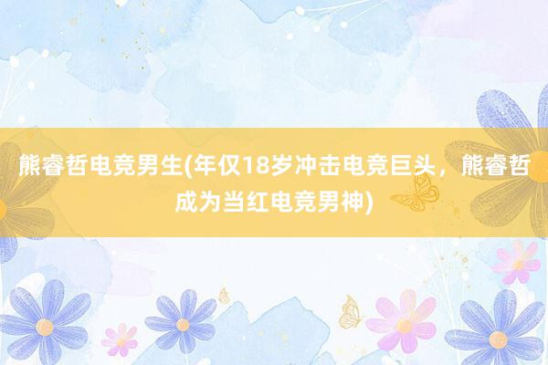 熊睿哲电竞男生(年仅18岁冲击电竞巨头，熊睿哲成为当红电竞男神)