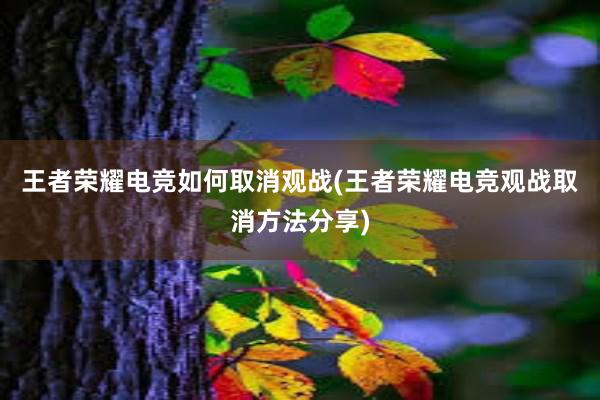 王者荣耀电竞如何取消观战(王者荣耀电竞观战取消方法分享)