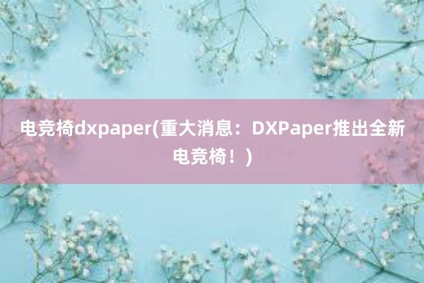 电竞椅dxpaper(重大消息：DXPaper推出全新电竞椅！)