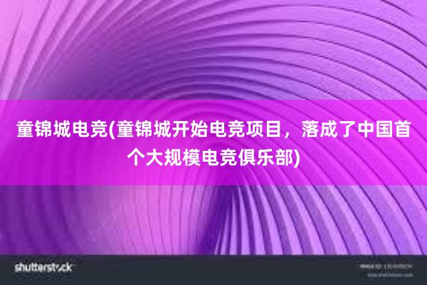 童锦城电竞(童锦城开始电竞项目，落成了中国首个大规模电竞俱乐部)