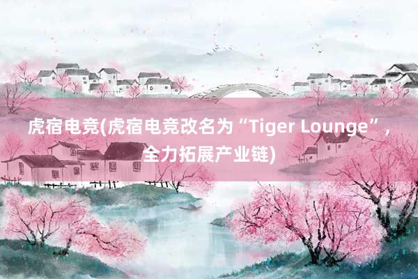 虎宿电竞(虎宿电竞改名为“Tiger Lounge”，全力拓展产业链)