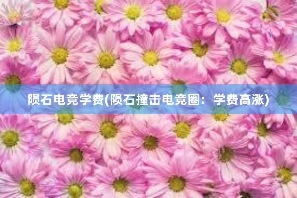 陨石电竞学费(陨石撞击电竞圈：学费高涨)