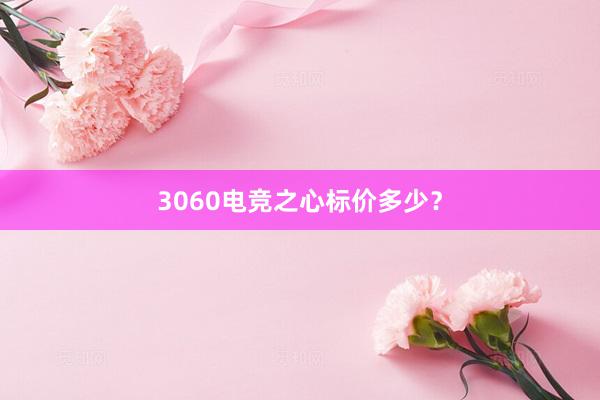 3060电竞之心标价多少？