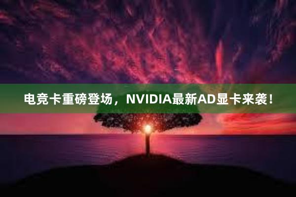 电竞卡重磅登场，NVIDIA最新AD显卡来袭！