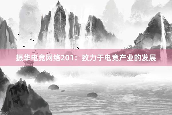 振华电竞网络201：致力于电竞产业的发展