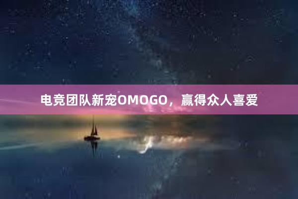 电竞团队新宠OMOGO，赢得众人喜爱