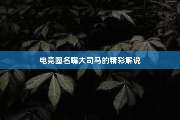 电竞圈名嘴大司马的精彩解说