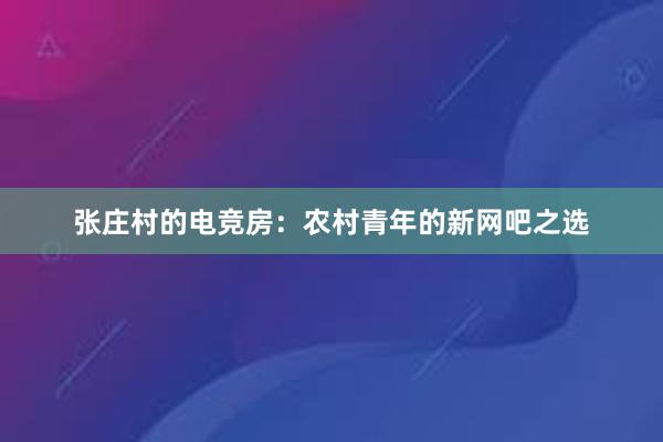 张庄村的电竞房：农村青年的新网吧之选