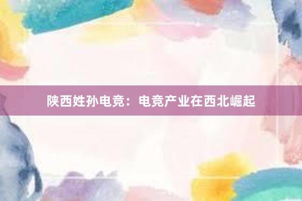 陕西姓孙电竞：电竞产业在西北崛起